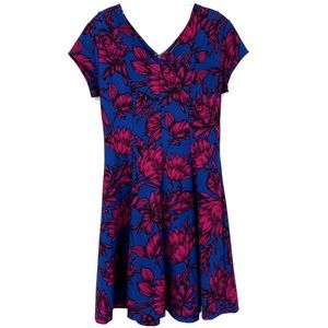 Banana Republic Womens 2 Pink and Blue Floral Knee Length Dress Back Zip Vneck